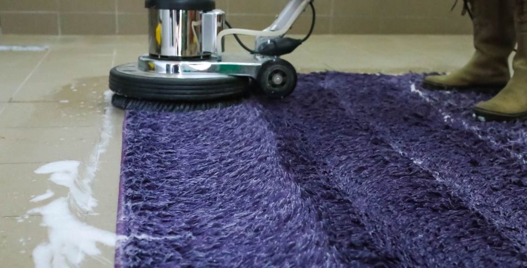 Looking for a professional friendly Carpet cleaning technician